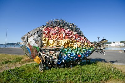 🐟 우노의 치누/우노 코치누 (요도가와 테크닉) 이미지 2